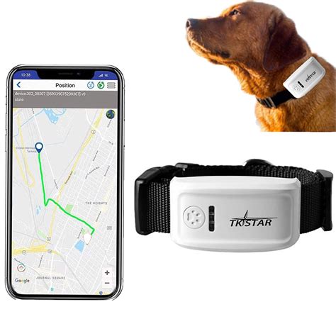 pet rfid tracker|best pet gps tracker cat.